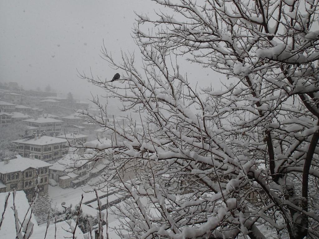 Efe Guest House Safranbolu Zewnętrze zdjęcie